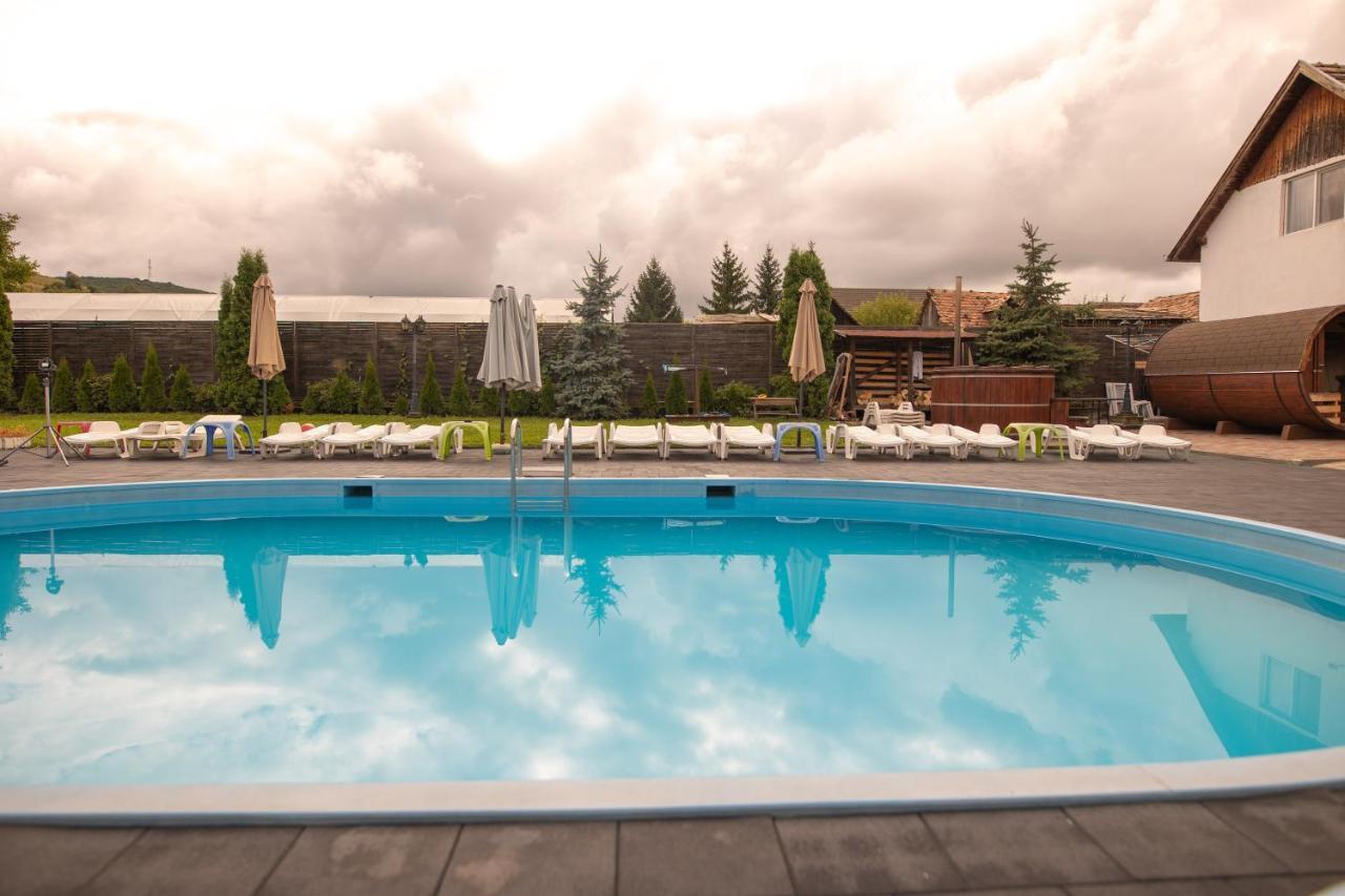 Pensiunea Sachsenhof Bagaciu Exteriér fotografie