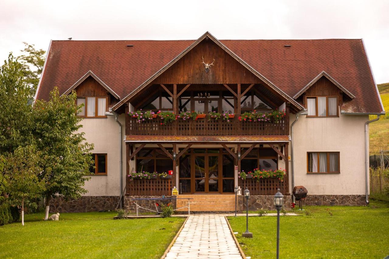 Pensiunea Sachsenhof Bagaciu Exteriér fotografie